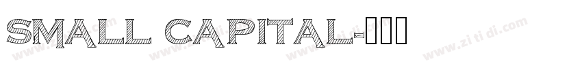 SMALL CAPITAL字体转换